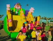 HINCHABLES